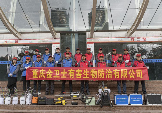 散白蟻侵害現(xiàn)代建筑，如何有效進(jìn)行白蟻防治處理